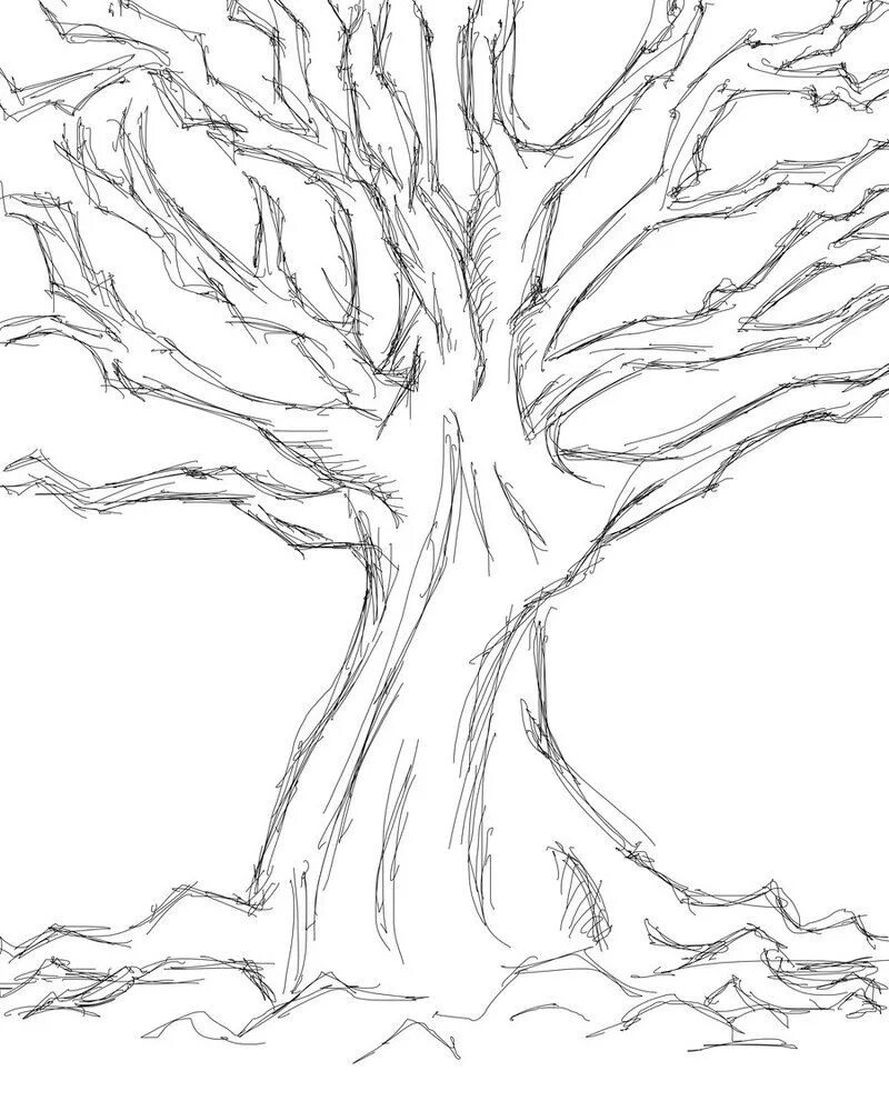 Дерево карандашом. Дерево трафарет для рисования. Нарисовать дерево. Рисование деревьев карандашом. Дерево на 4 листа а4