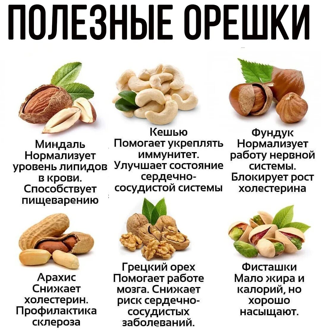 Орехи польза для организма сколько нужно. Полезные орехи. Какие орехи полезнее. Полезные орехи для женщин. Какие орехи самые полезные.