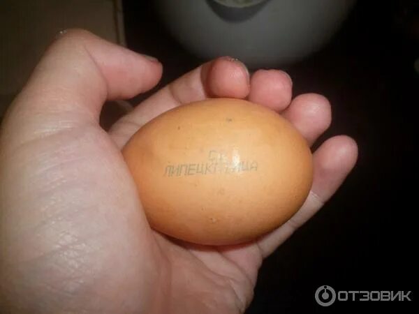 Вес куриной скорлупы. Яйцо куриное 140 грамм. Сканер куриного яйца. Круглый шарик рядом с яичком. Яичко Валера съедобное куриное.