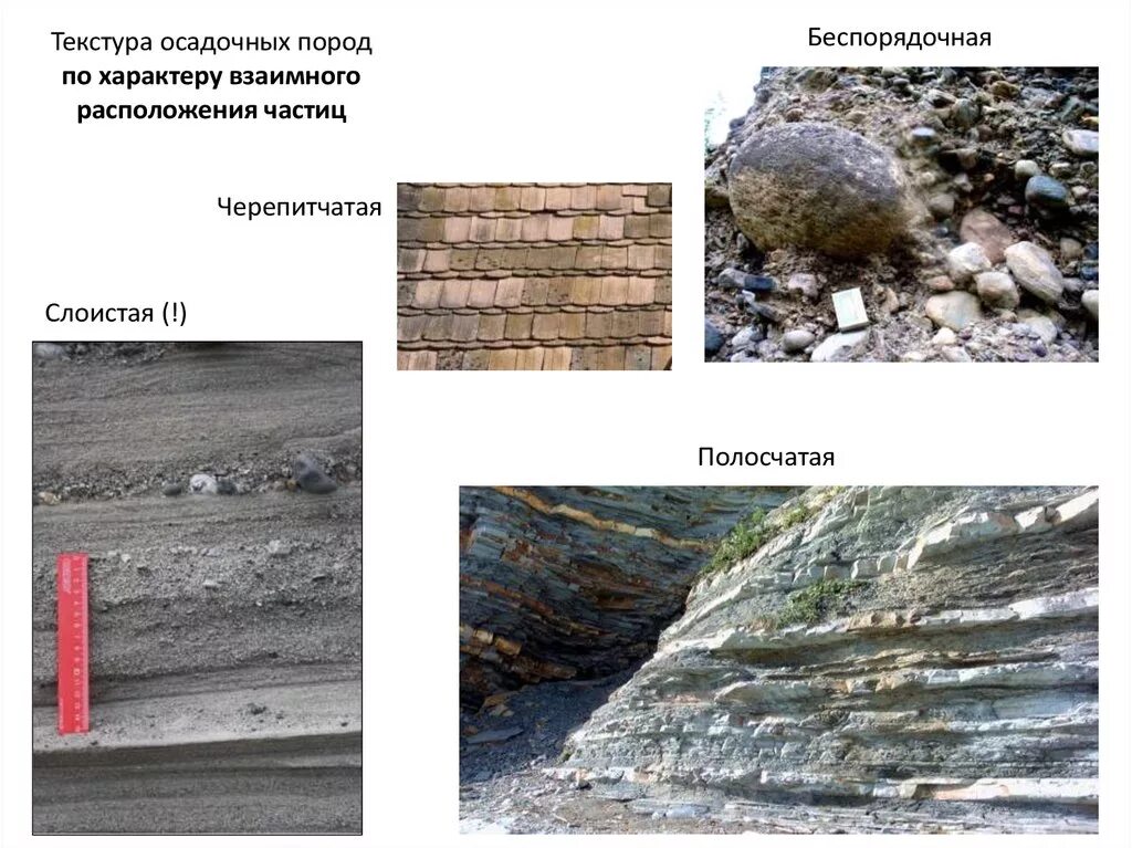 Привести примеры осадочных пород. Слоистая текстура горных пород. Текстура осадочных горных пород. Структура и текстура горных пород. Структура осадочных горных пород.