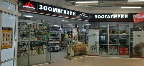 Зоогалерея адрес