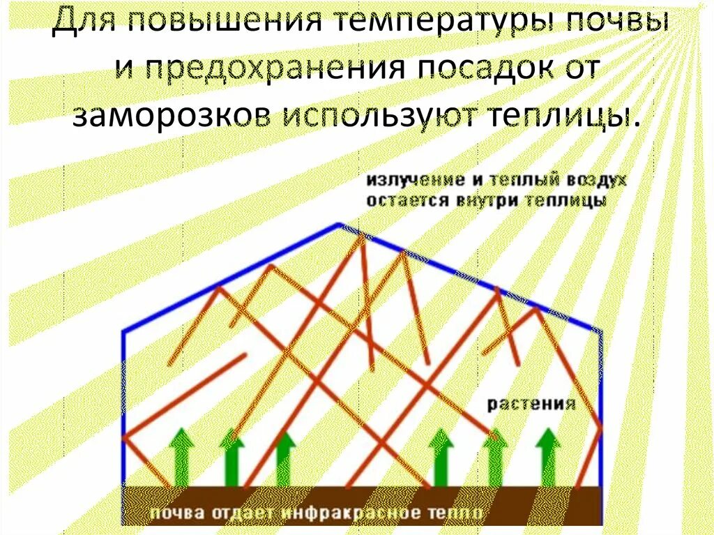 Какая температура воздуха в теплице. Теплопередача и растительный мир. Теплопроводность и растительный мир. Конвекция в теплице. Принцип работы теплицы.