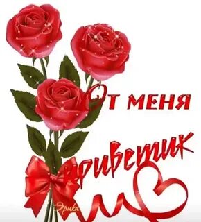 Здравствуйте цветок