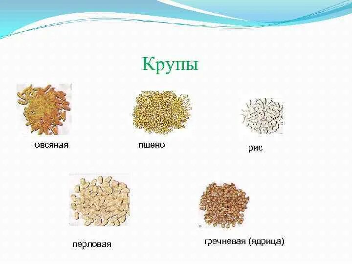 Крупы. Название круп. Виды каш. Виды злаковых круп.