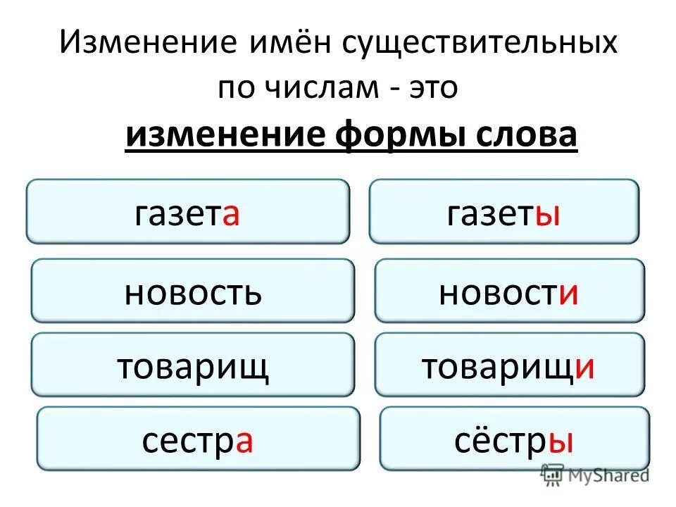 Как изменяются имена существительные. Изменение имен существительных по числам. Изменение имен сущ по числам 3 класс. Изменение имен существительных по числам 3 класс. Изменение существительных по числам 3 класс.