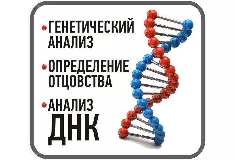 Анализ ДНК. Генетическая экспертиза. ДНК экспертиза. Тест ДНК на отцовство.