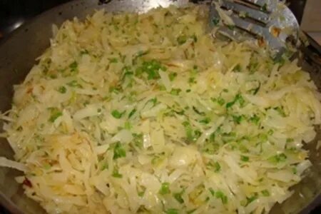 Фарш из свежей капусты. Фарш из капусты. фарш яйцо капуста. фарш из свежей капусты фото. фарш из свежей капусты для плацинды.