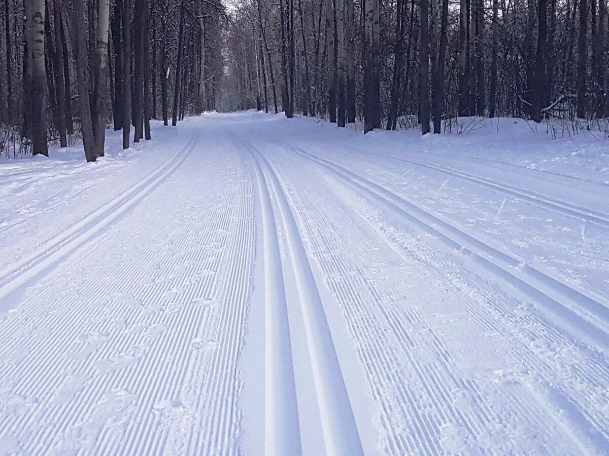 Лыжня. Лыжная дорожка. Лыжная трасса. Зима лыжи.