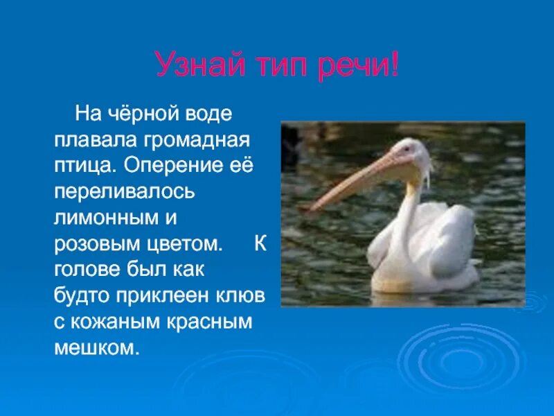 На черной воде плавала громадная птица оперение ее переливалось. На черной воде озера плавала громадная птица. На чёрной воде плавала громадная птица 4. На чёрной воде озера плавала громадная птица разобрать.