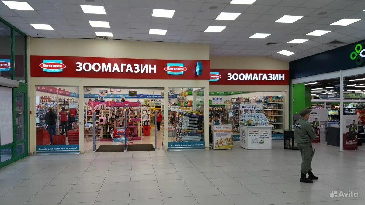 бетховен магазин зоотоваров москва. бетховен зоомагазин интернет магазин москва. зоомагазин бетховен в москве. бетховен зоомагазин белгород. бетховен зоомагазин логотип.