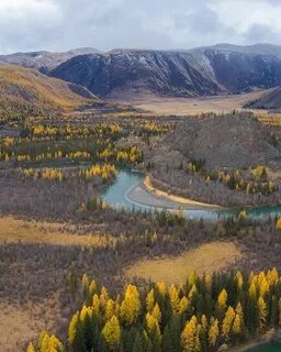 Подслушано горного алтая