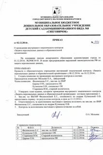 Приказ о проведении аудита