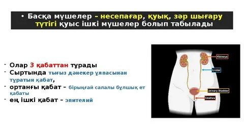 Орыс бөтен порно