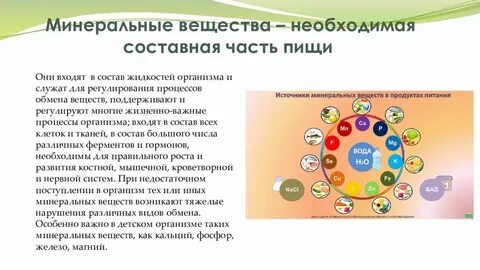 Проводит в основном минеральные вещества