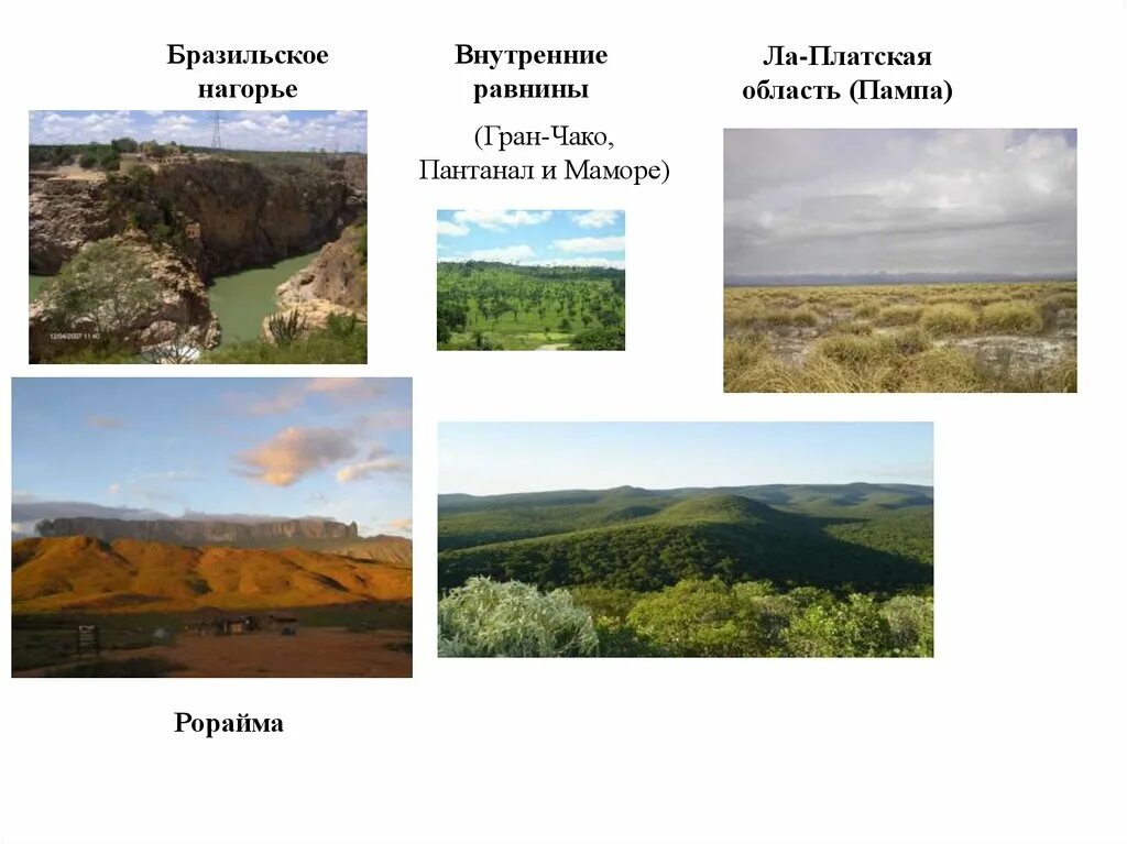 Внутренние равнины и пампа. Пампасы аргентины. Субтропические степи (пампа). Аргентина пампа. Пампа южной америки.