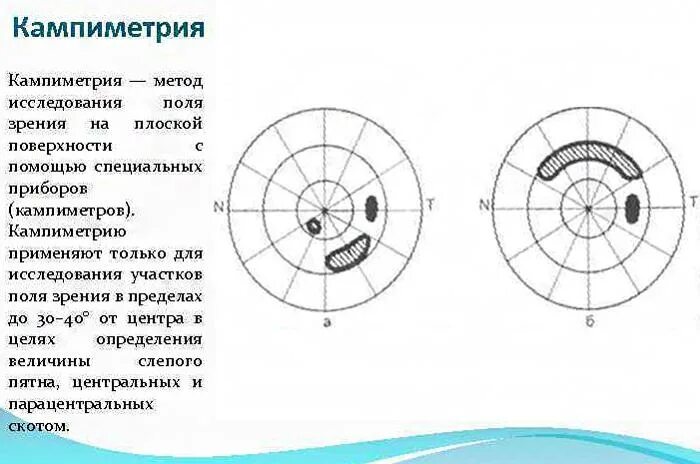 Периметрия и кампиметрия. Кампиметрия метод исследования. Метод исследования периферического зрения. Исследование периферического зрения периметрия. Центральное поле зрения