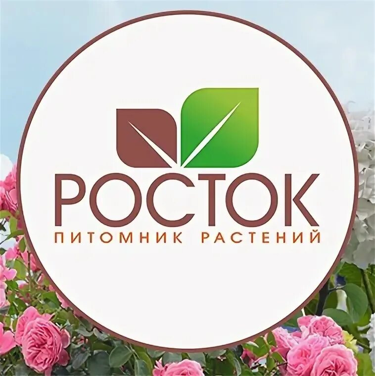 Росток саженцы интернет магазин челябинск. Питомник Росток. Питомник Росток Челябинск. Питомник Росток розы. Росток-питомник интернет магазин.