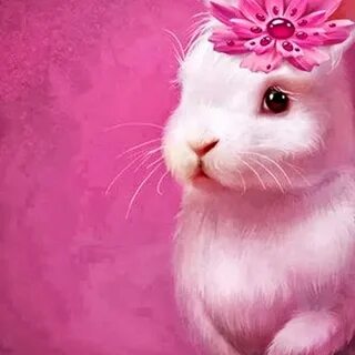 Вирус зайчик на телефон