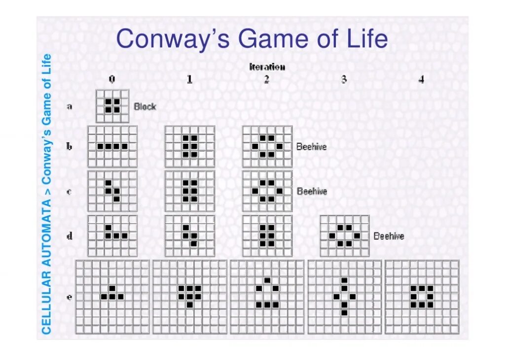 Conway game of life