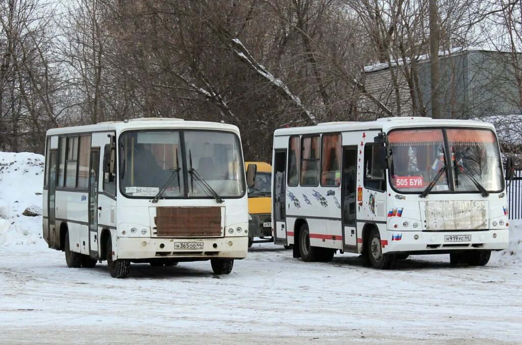 Паз 4234-05. Автостанция бор. Автобусы чистые боры. Автобусы кострома сусанино буй. Паз автобус 2023.
