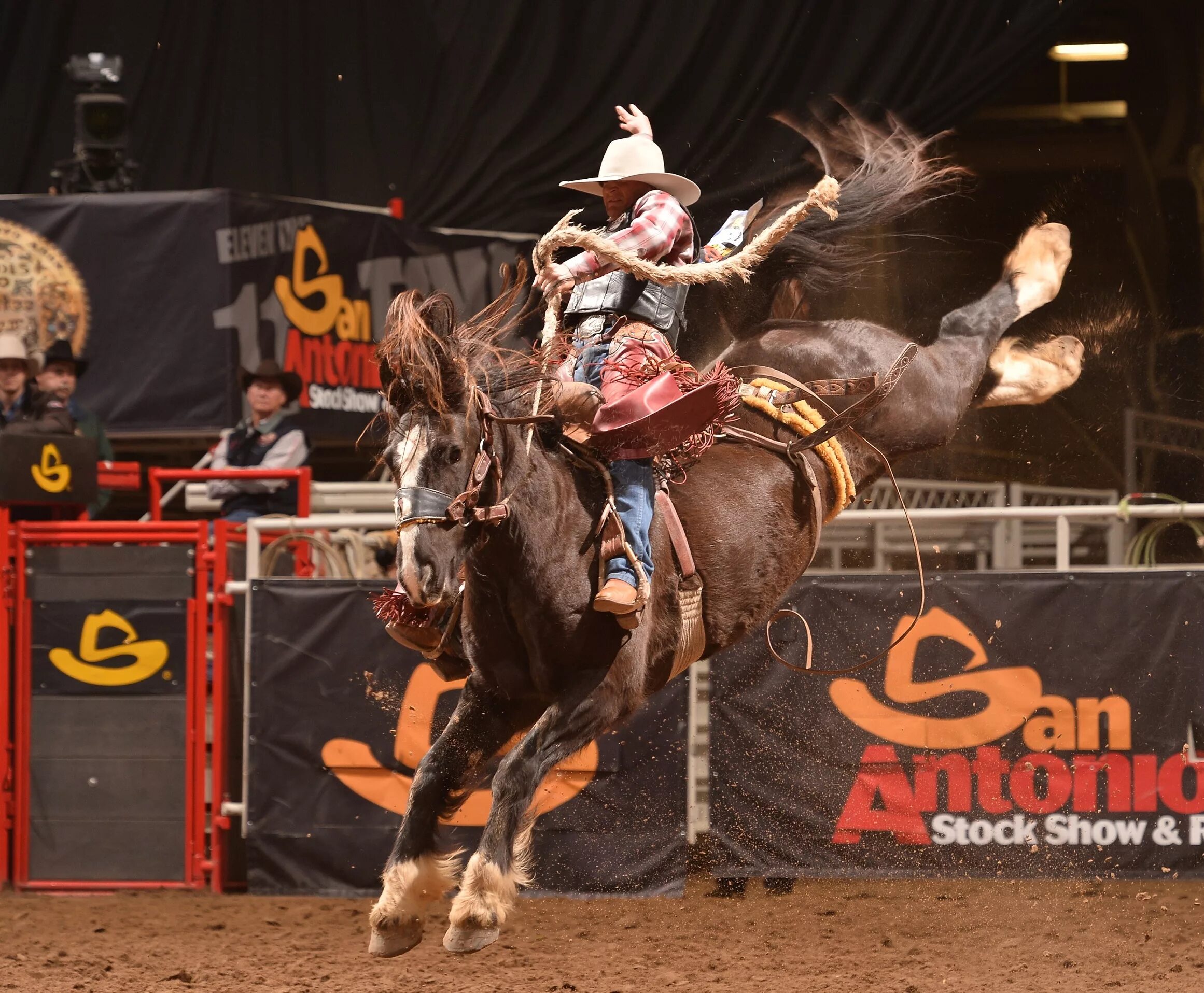 Техас родео шоу. Ковбой родео. Гонки родео. Родео спортсмены. The rodeo is a really exciting event