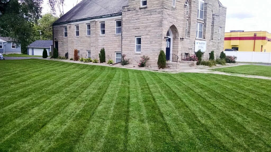 Газон для гольфа. Микроклевер. Organic Lawn Mowing. Mow Patterned grass. Cool seasons