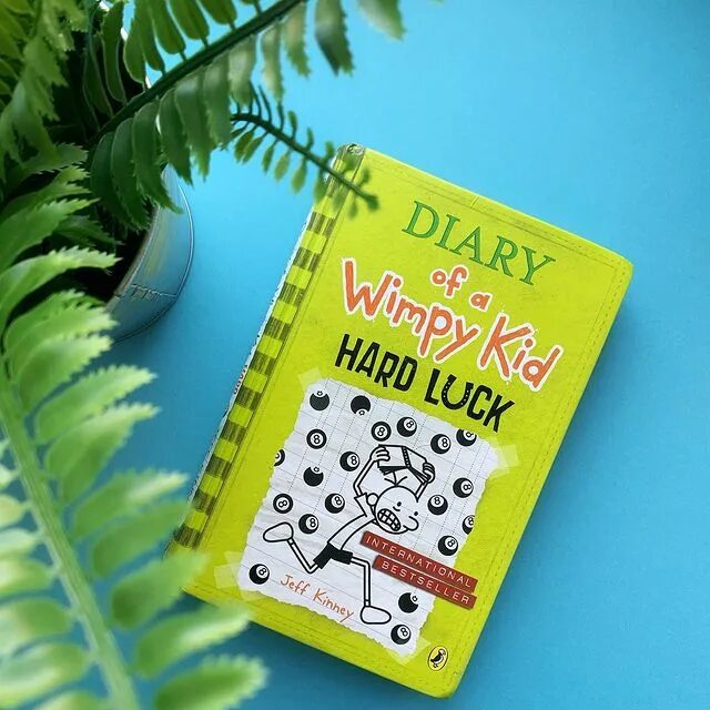 Mike can see english books