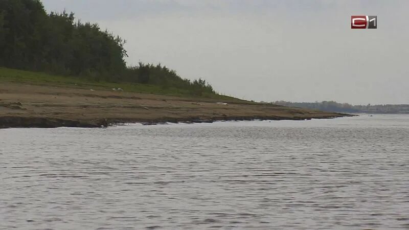 Уровень воды в сургуте на сегодня. Саранпауль потоп. Уровень воды в р. Обь г. Сургут. Река поднимается. Затопленное село.