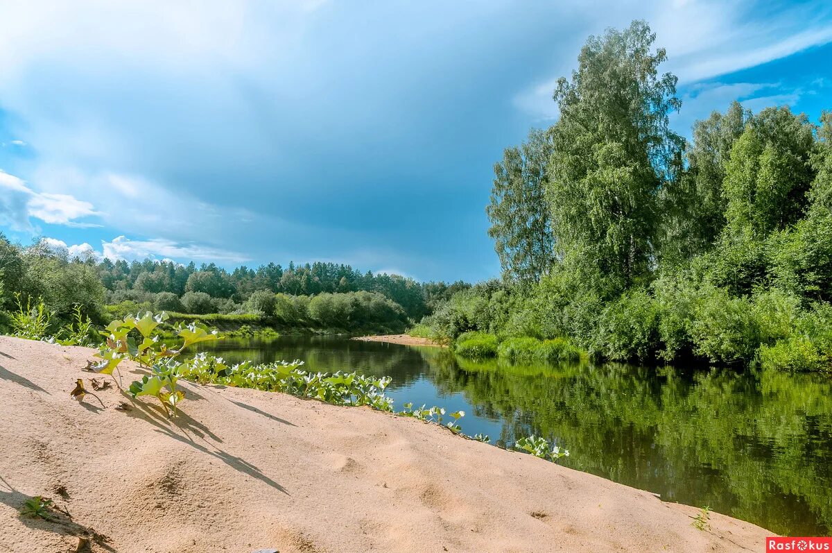 Берегом чистой реки. Золотой пляж река Луга. Песчаный Плес реки. Река Угра Олоньи горы. Песчаный берег реки Эридан.