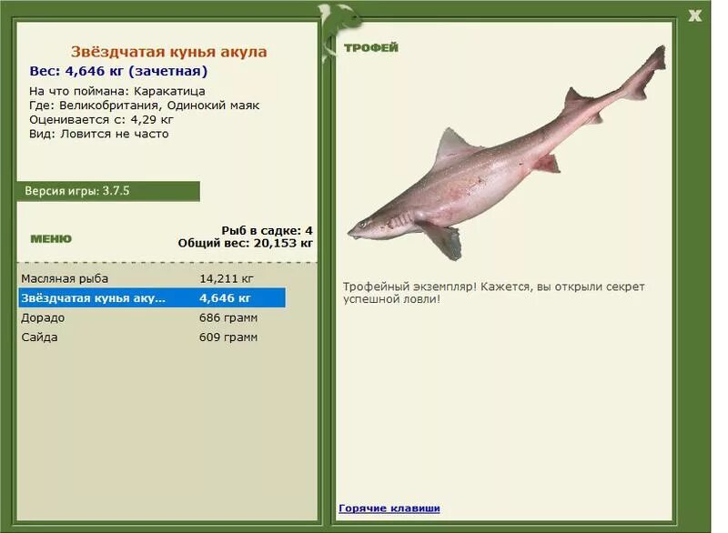 Акула русская рыбалка. Звёздчатая Кунья акула. Вес акулы. Где ловят масляную рыбу. Акула Катран сколько весит.