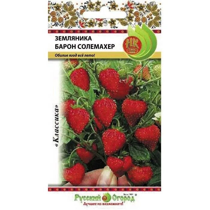 Земляника Садовая Барон Солемахер. Земляника Барон Солемахер НК семена. Земляника ремонтантная безусая Барон Солемахер. Сорт земляники Барон Солемахер. Земляника барон выращивание