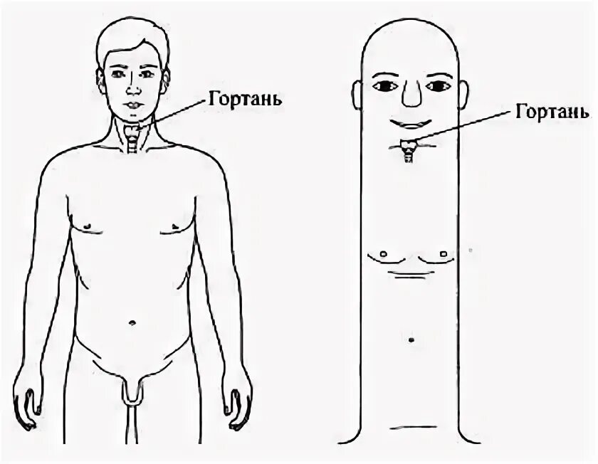 Массаж от боли в горле точки. Акупунктурные точки на теле человека от головной боли. Бальзам звездочка точки при кашле. Точечный массаж при ангине. Точки акупунктуры при кашле.