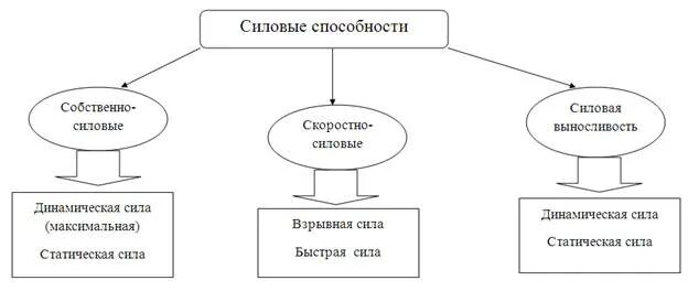 Способности делятся на группы. Разновидности силовых способностей спортсмена. Классификация силовых способностей схема. Классификация скоростно-силовых способностей. Скоростно-силовые способности схема.