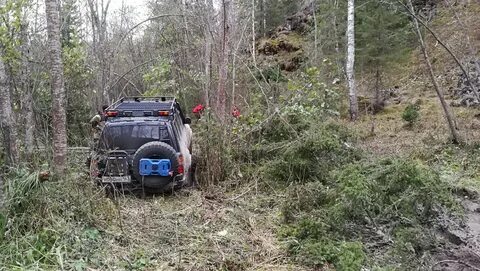 Погода в гафурийском районе деревня кургашла