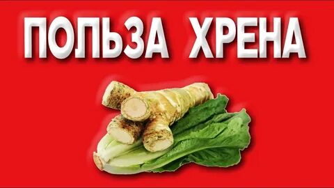 Хрен для похудения