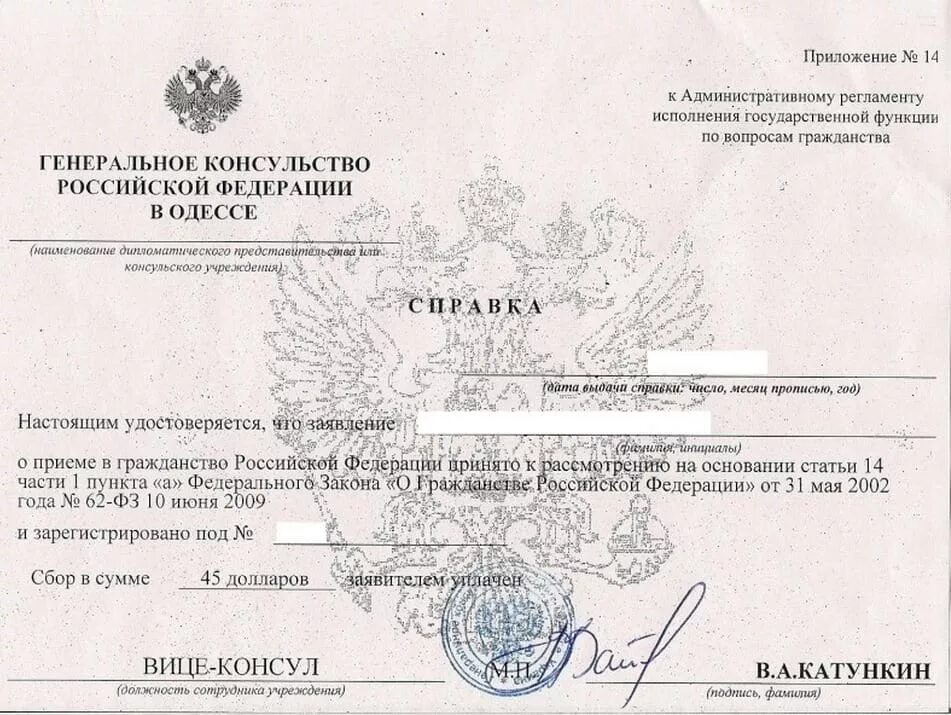 Где получить документы
