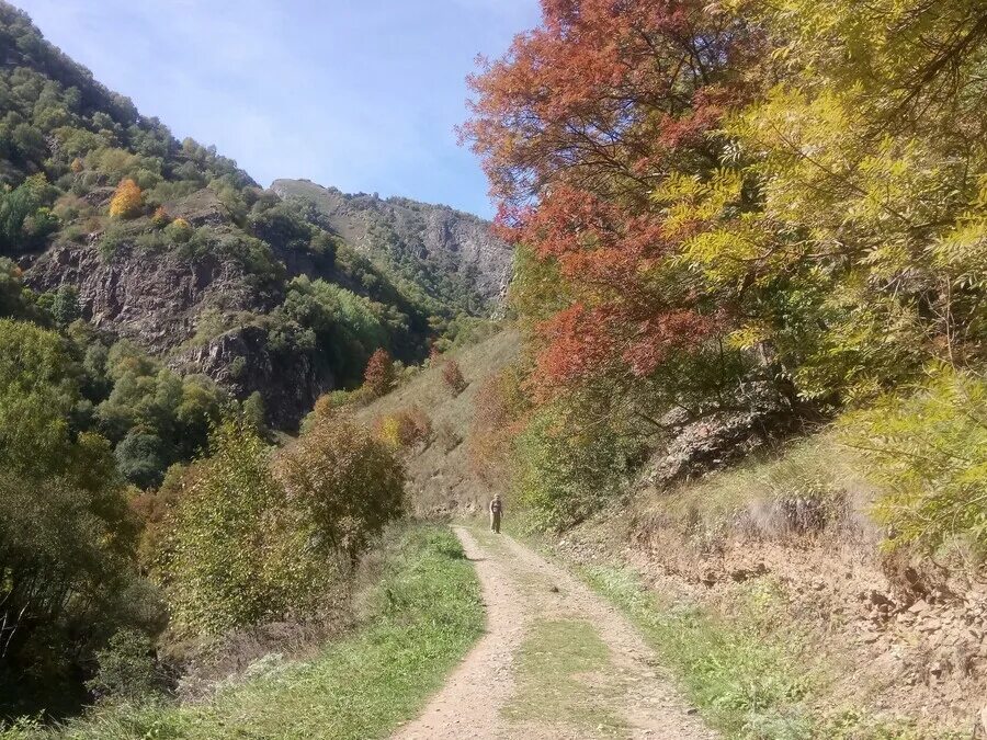 Экопарк нарзанов кисловодск. Эко парк Долина Нарзанов. Парк Долина Нарзанов Кисловодск. Экопарк Долина Нарзанов КБР. Долина Нарзанов за Кисловодском Экопарк.