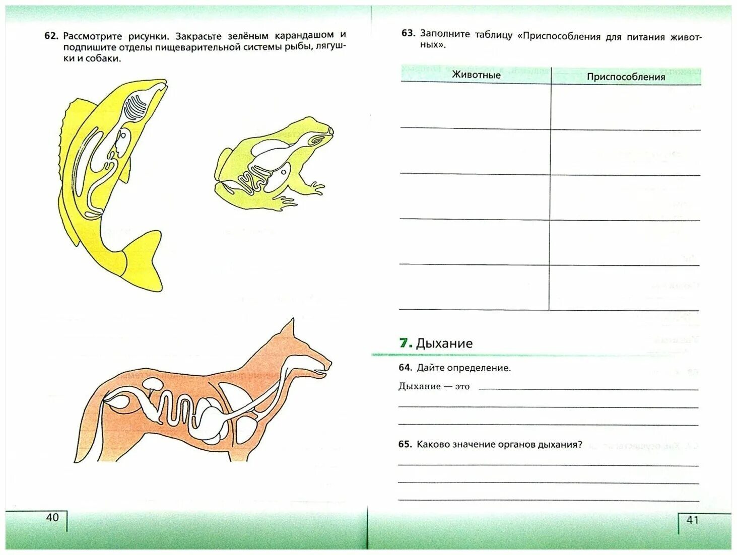 приспособления для дыхания животных