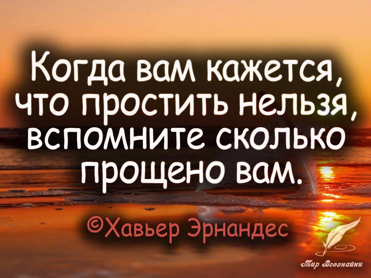 Фразы о прощении. Афоризмы о прощении. Цитаты о прощении. Красивые фразы для прощения. Короткие слова прощение