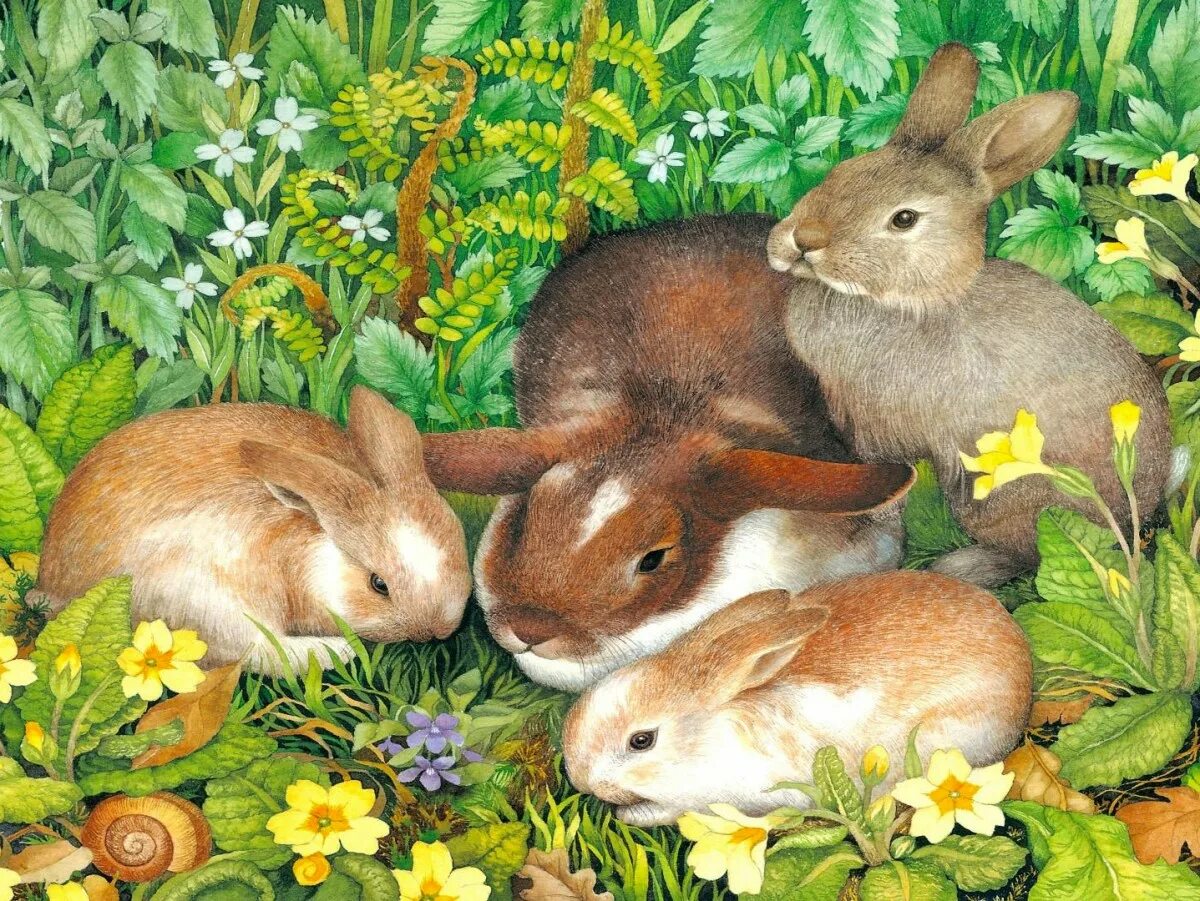 Кролик 7 лет. Семья кроликов. Зайчиха с зайчонком. Картина зайцы для детского сада. Зайчик с зайчатами.