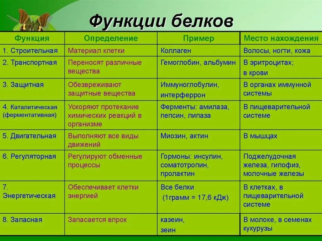 Структура и функция в живых. Биологическая роль структурной функции белков. основной функции белков в организме. биологическая роль и функция белков. основные биологические функции белков в организме.