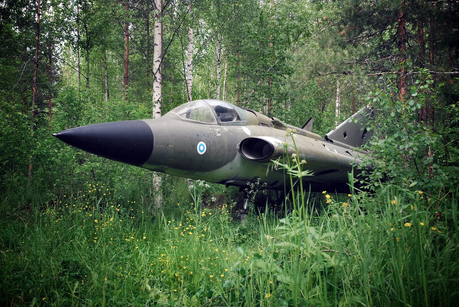 Заброшенный самолет в лесу. Военный самолет в лесу. Брошенные военные самолеты. Заброшенный истребитель. Самолет кидать