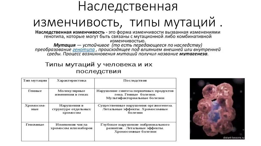 Наследственные изменения примеры. Наследование мутационной изменчивости. Наследственная изменчивость геномная. Наследственная изменчивость мутации кратко. Виды наследственной мутационной изменчивости.