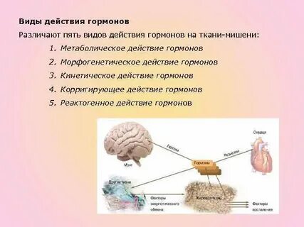 Влияние гормонов на уровень