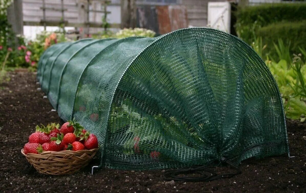 Сетка для ковра. Сетка для деревьев. Сетка для волос для сна мужская. Сетка шпалерная огуречная. Перенос рисунка на стену по сетке.