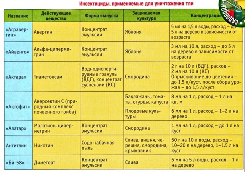 Обработка сада после цветения. Таблица препаратов от вредителей и болезней. Таблица инсектицидов+фунгицидов для виноградника. Обработки сада таблица. Препарат от болезней и вредителей растений.