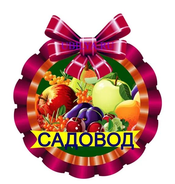 Лучшему садоводу. Медаль садовод. медаль лучшему садоводу. медали лучшему садоводу огороднику. медаль садовод на юбилей.