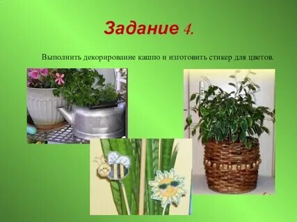 7 цветов работа