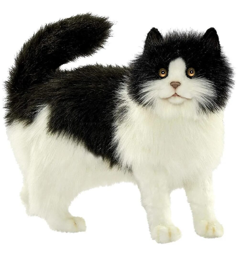 Белую кошку белую кошку игрушку. Реалистичная мягкая игрушка Hansa Creation кошка черно-белая, 40 см. Мягкая игрушка кот Ханса. Hansa Creation кошка. Игрушка кошка реалистичная Hansa черно белая.