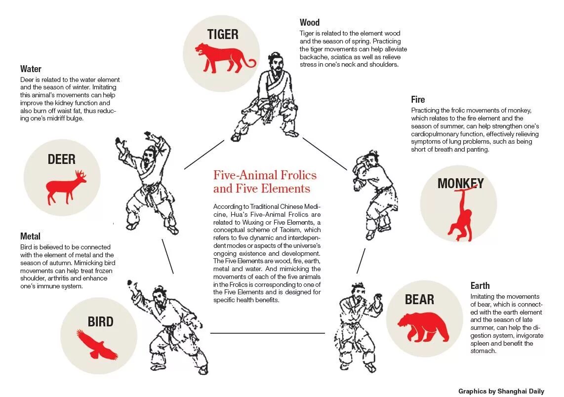 Комплекс пяти зверей цигун. Игры пяти зверей цигун картинки. Цигун упражнения зверей. Игры 5 зверей цигун описание упражнений. Игра зверей цигун